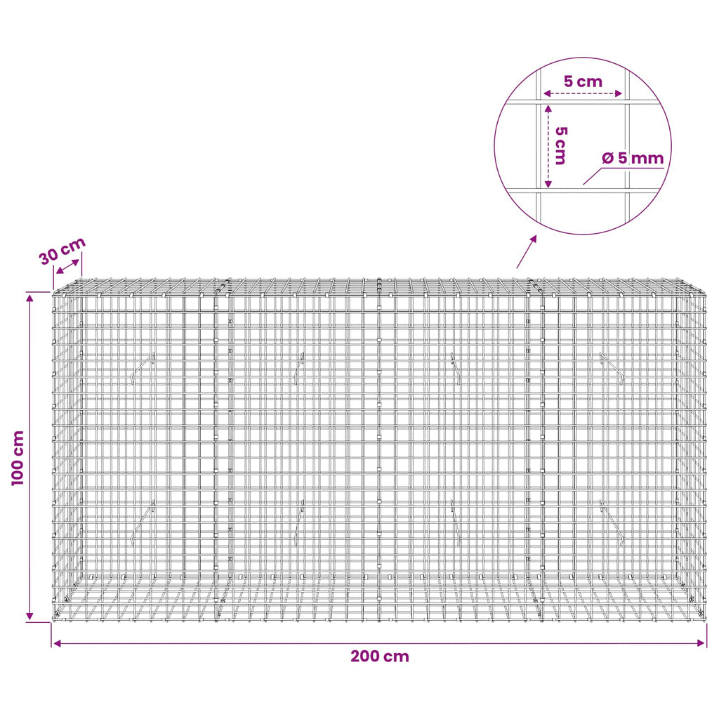 vidaXL Gabion z drutu 5 mm i siatką 5x5 cm 200x30x100 cm