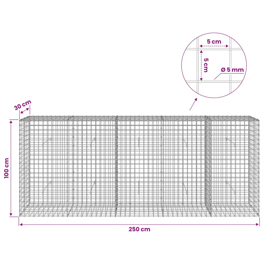 vidaXL Gabion z drutu 5 mm i siatką 5x5 cm 250x30x100 cm