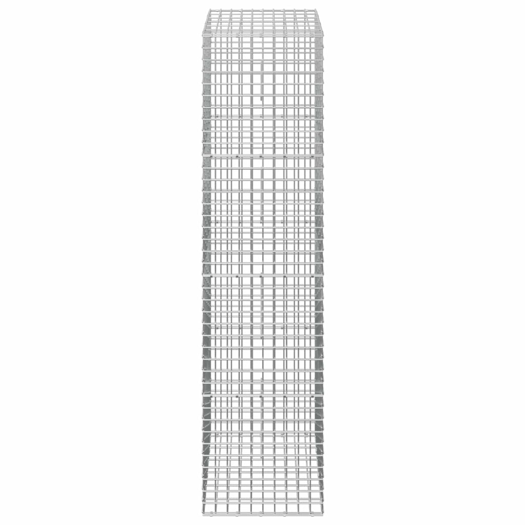 vidaXL Gabion z drutu 5 mm i siatką 5x5 cm 50x30x200 cm