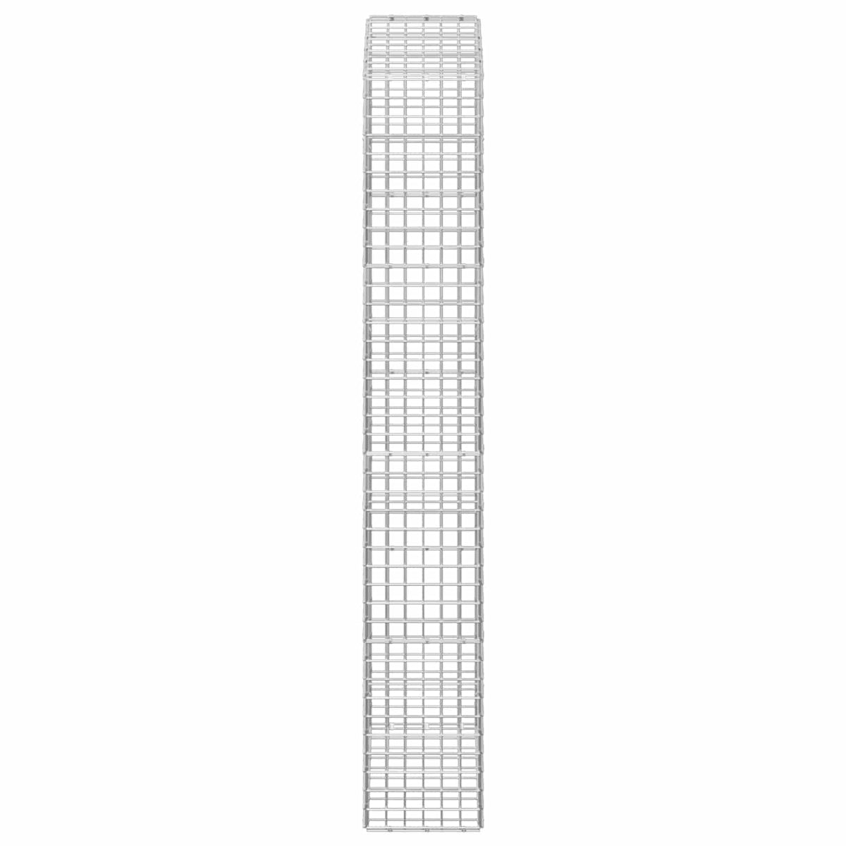 vidaXL Gabion z drutu 5 mm i siatką 5x5 cm 50x30x200 cm