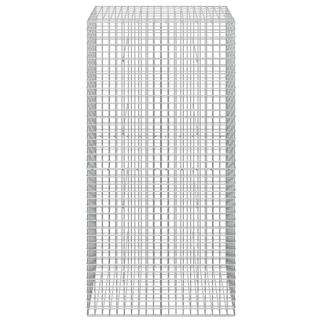 vidaXL Gabion z drutu 5 mm i siatką 5x5 cm 100x30x200 cm