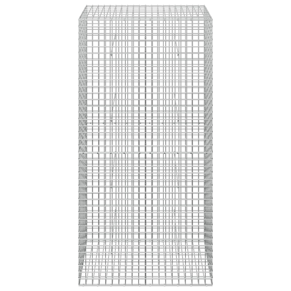 vidaXL Gabion z drutu 5 mm i siatką 5x5 cm 100x30x200 cm