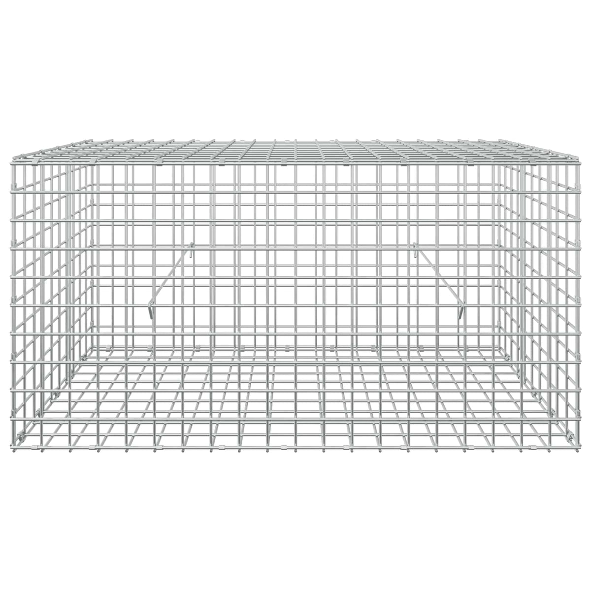 vidaXL Gabion z drutu 5 mm i siatką 5x5 cm 100x50x50 cm