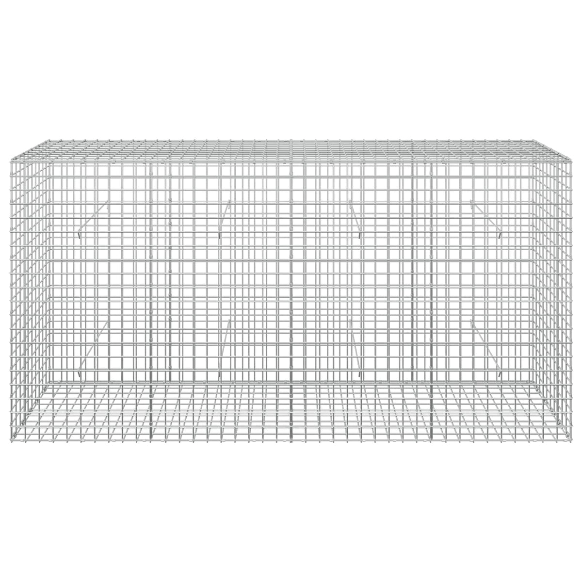 vidaXL Gabion z drutu 5 mm i siatką 5x5 cm 200x50x100 cm