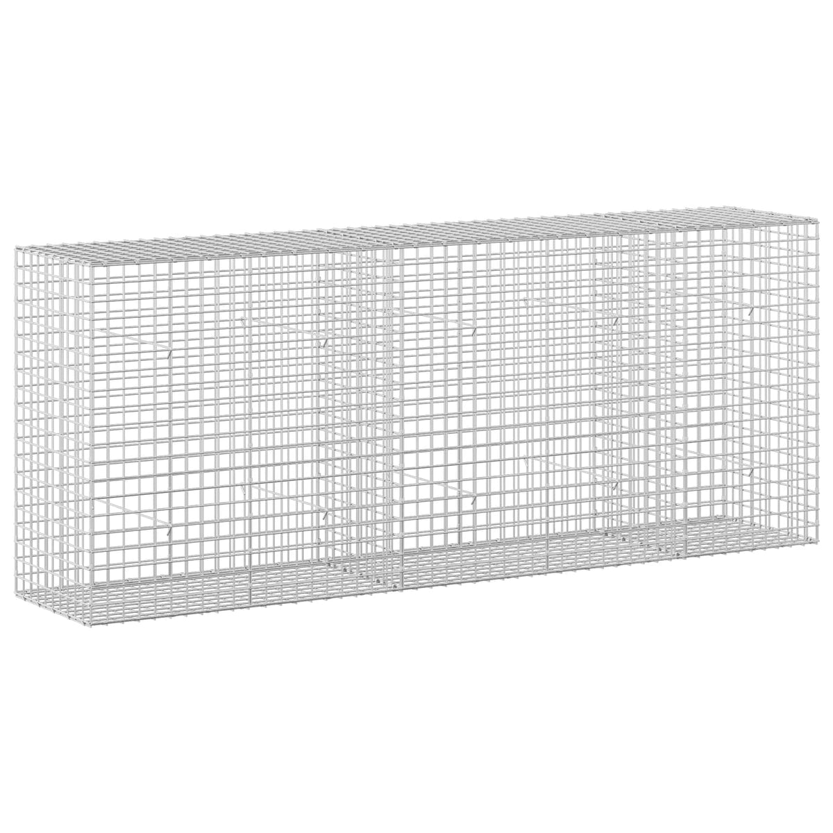 vidaXL Gabion z drutu 5 mm i siatką 5x5 cm 250x50x100 cm