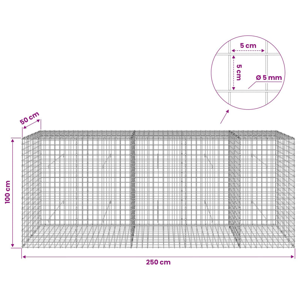 vidaXL Gabion z drutu 5 mm i siatką 5x5 cm 250x50x100 cm