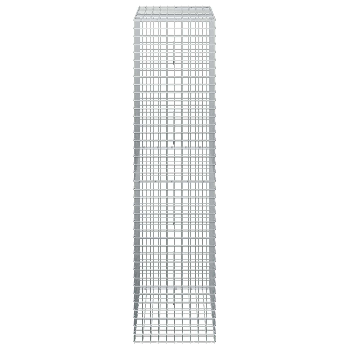 vidaXL Gabion z drutu 5 mm i siatką 5x5 cm 50x50x200 cm