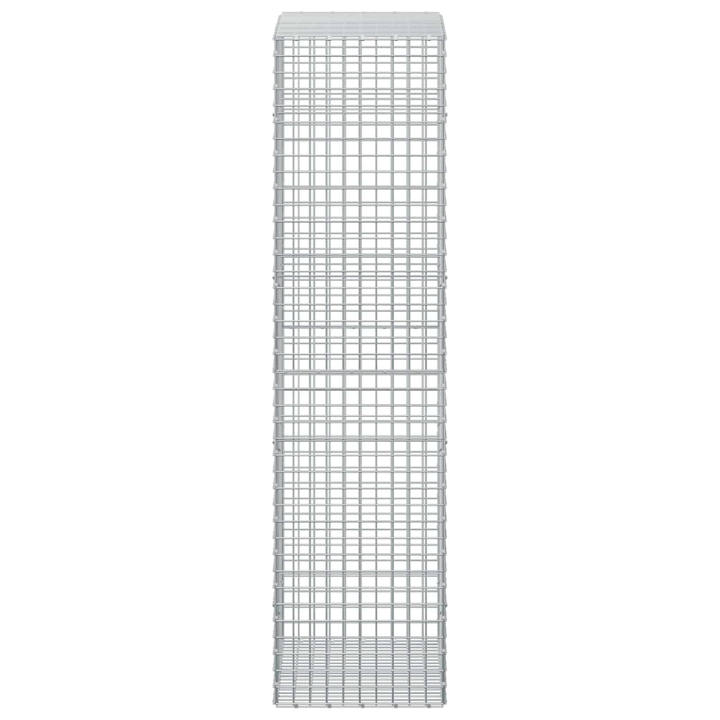 vidaXL Gabion z drutu 5 mm i siatką 5x5 cm 100x50x200 cm