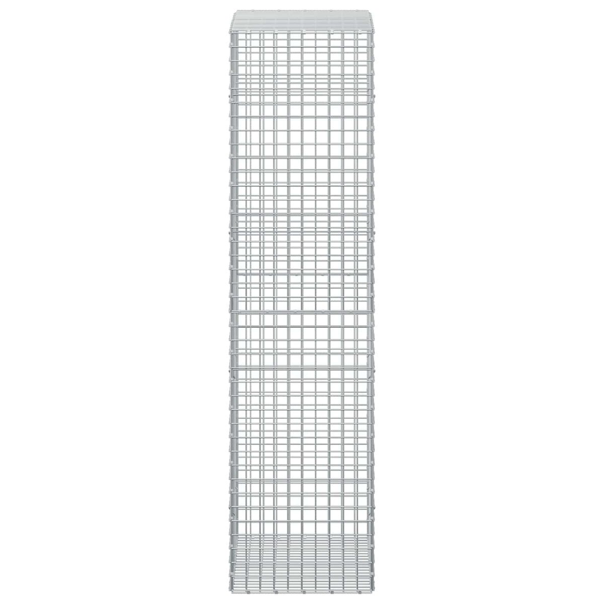 vidaXL Gabion z drutu 5 mm i siatką 5x5 cm 100x50x200 cm