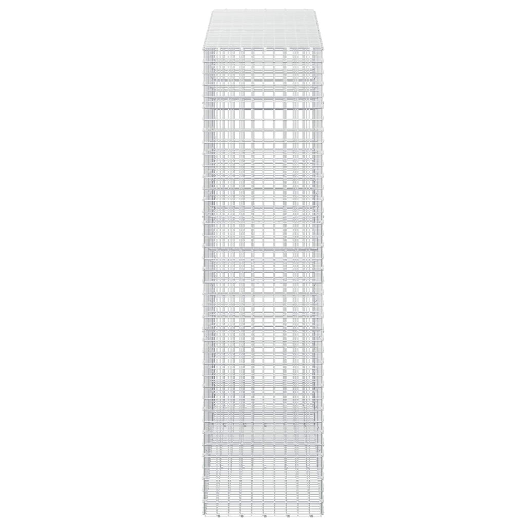 vidaXL Gabion z drutu 5 mm i siatką 5x5 cm 250x50x200 cm