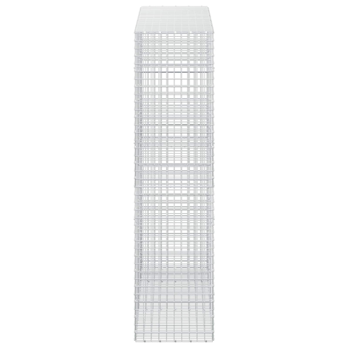 vidaXL Gabion z drutu 5 mm i siatką 5x5 cm 250x50x200 cm