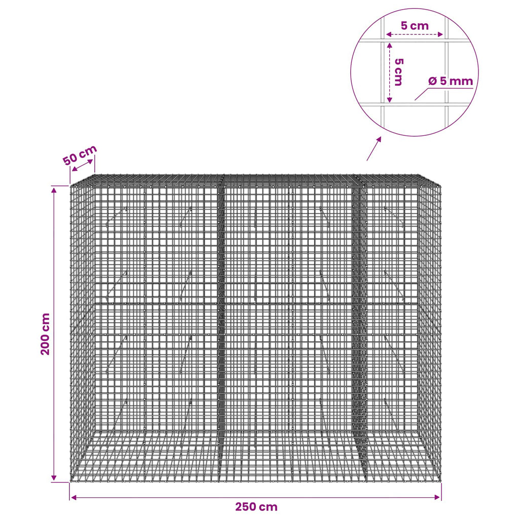 vidaXL Gabion z drutu 5 mm i siatką 5x5 cm 250x50x200 cm