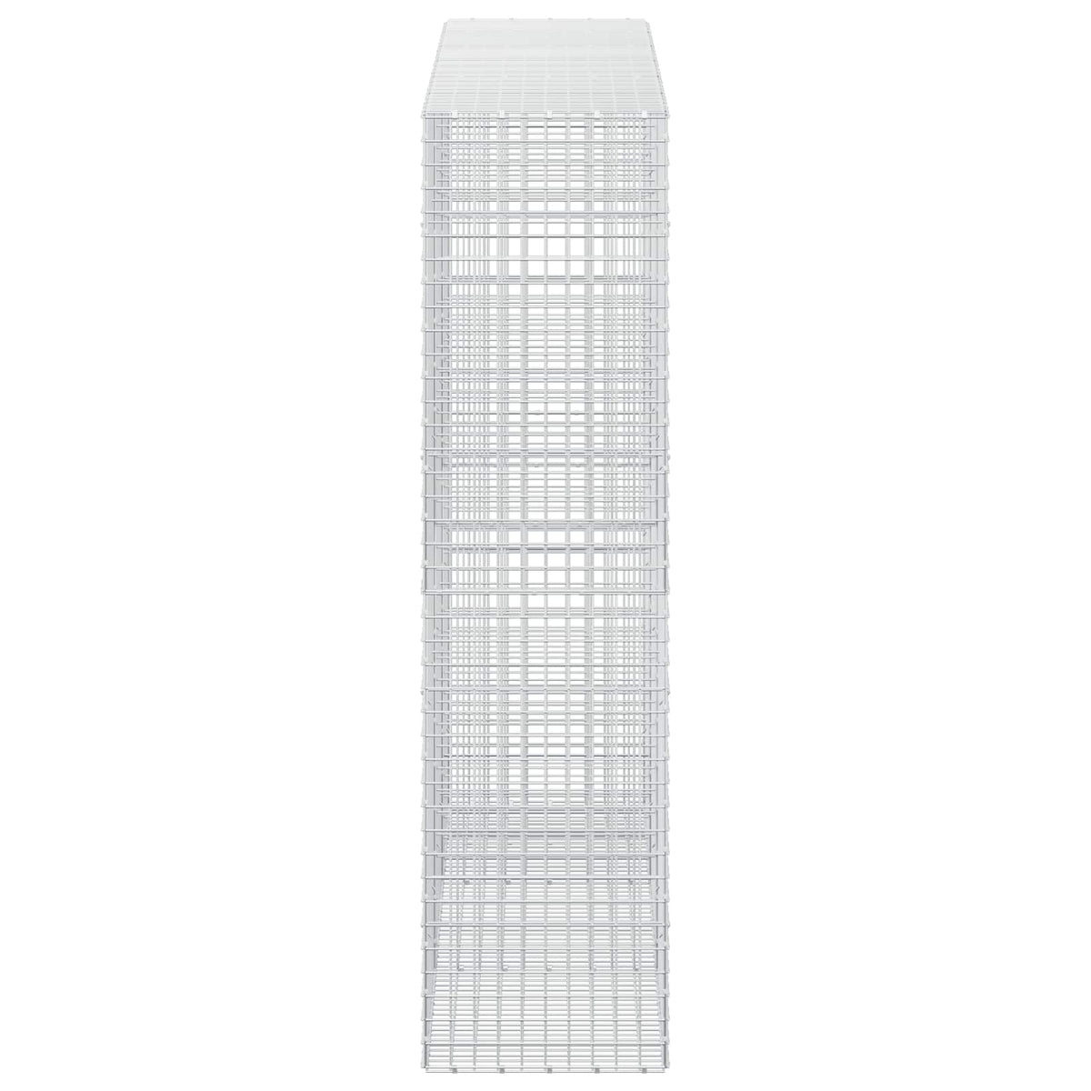 vidaXL Gabion z drutu 5 mm i siatką 5x5 cm 300x50x200 cm