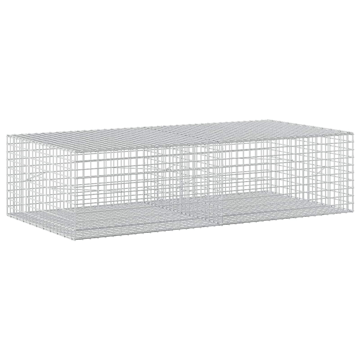 vidaXL Gabion z drutu 5 mm i siatką 5x5 cm 200x100x50 cm