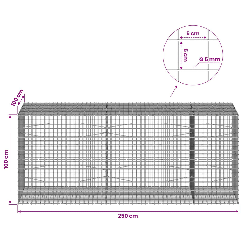 vidaXL Gabion z drutu 5 mm i siatką 5x5 cm 250x100x100 cm