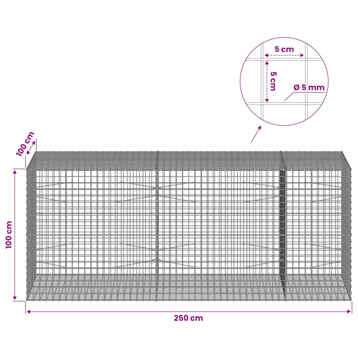 vidaXL Gabion z drutu 5 mm i siatką 5x5 cm 250x100x100 cm