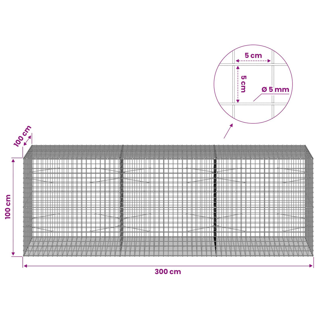 vidaXL Gabion z drutu 5 mm i siatką 5x5 cm 300x100x100 cm
