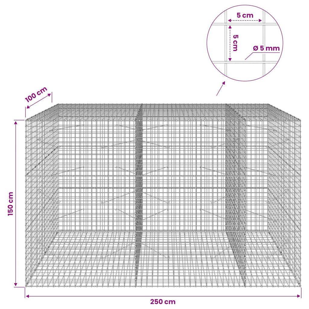 vidaXL Gabion z drutu 5 mm i siatką 5x5 cm 250x100x150 cm