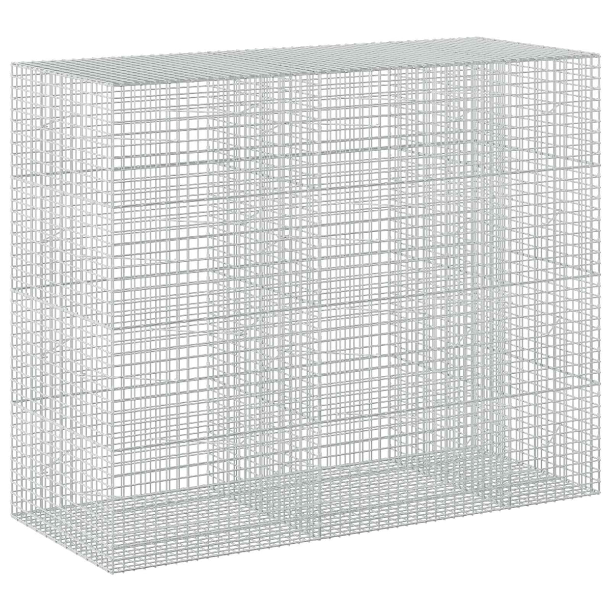 vidaXL Gabion z drutu 5 mm i siatką 5x5 cm 250x100x200 cm