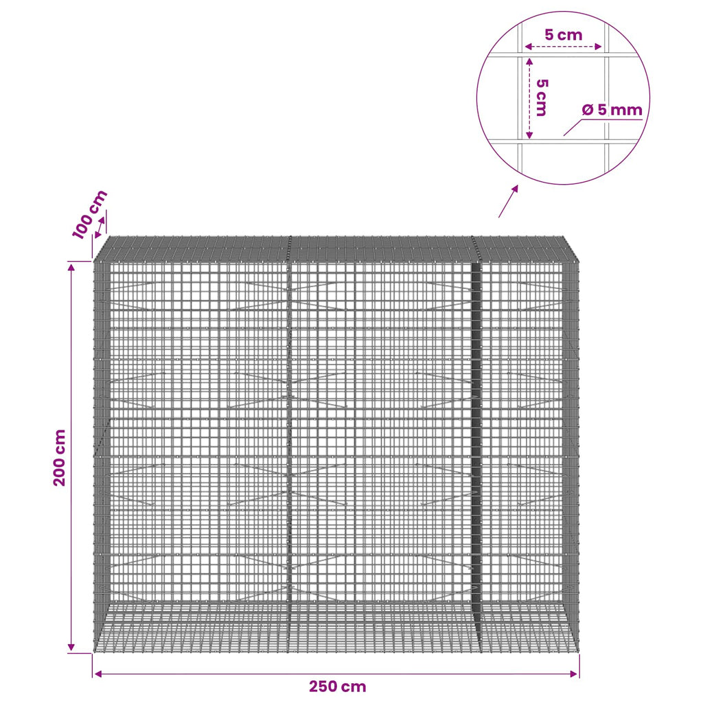 vidaXL Gabion z drutu 5 mm i siatką 5x5 cm 250x100x200 cm
