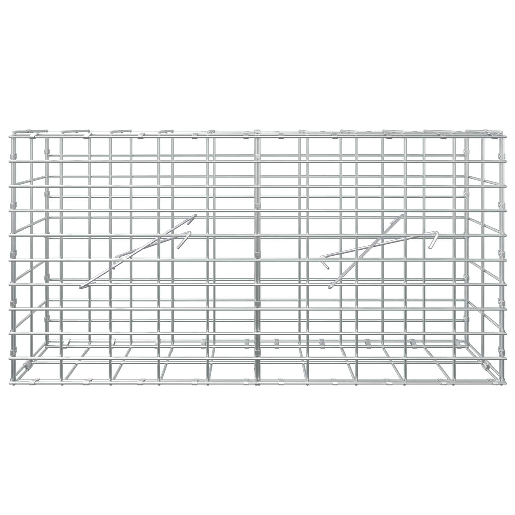 vidaXL Gabion z drutem 5 mm i siatką 5x10 cm 100x10x50 cm