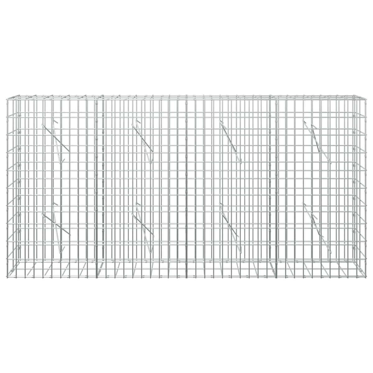 vidaXL Gabion z drutem 5 mm i siatką 5x10 cm 200x10x100 cm