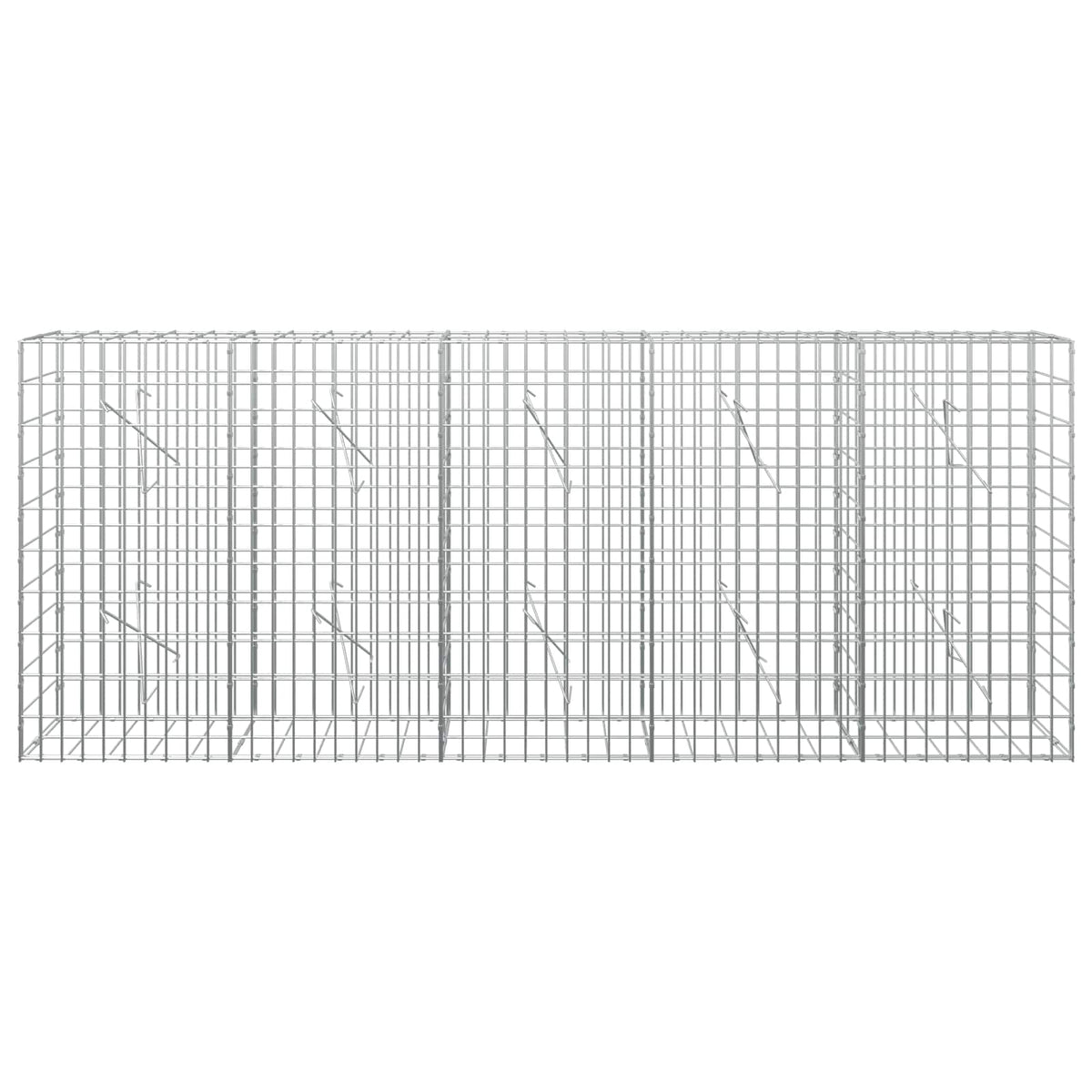 vidaXL Gabion z drutem 5 mm i siatką 5x10 cm 250x10x100 cm