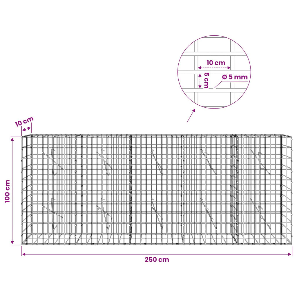 vidaXL Gabion z drutem 5 mm i siatką 5x10 cm 250x10x100 cm