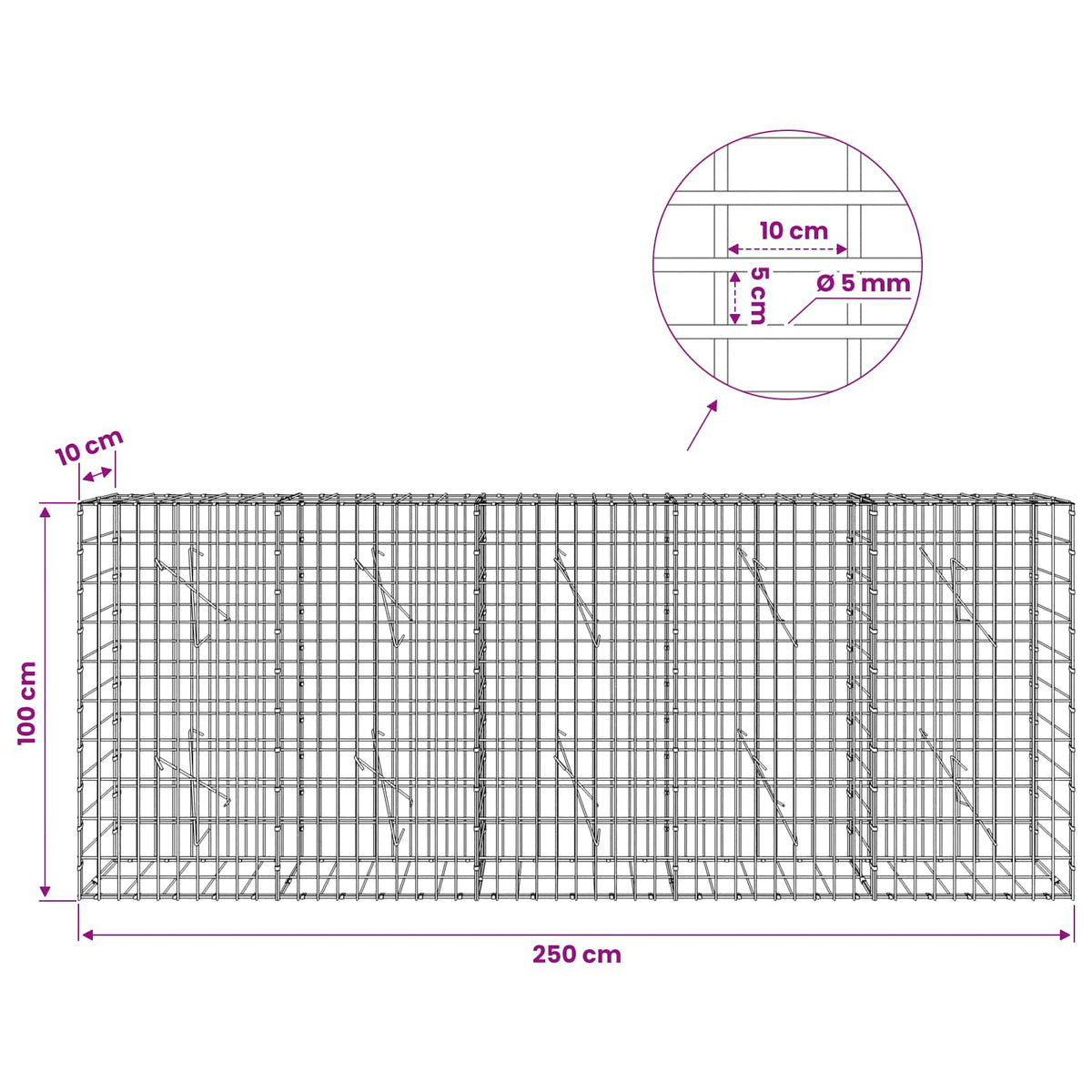 vidaXL Gabion z drutem 5 mm i siatką 5x10 cm 250x10x100 cm