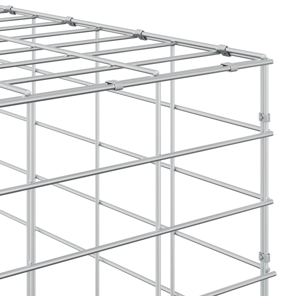 vidaXL Gabion z drutem 5 mm i siatką 5x10 cm 100x10x150 cm