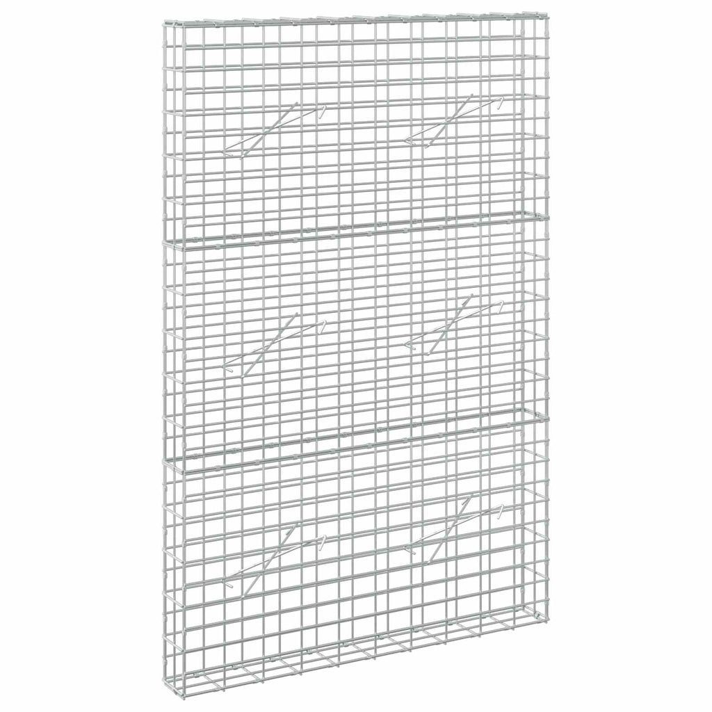 vidaXL Gabion z drutem 5 mm i siatką 5x10 cm 100x10x150 cm