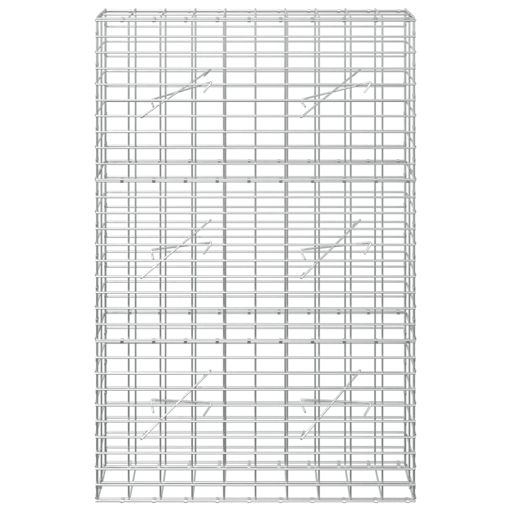 vidaXL Gabion z drutem 5 mm i siatką 5x10 cm 100x10x150 cm