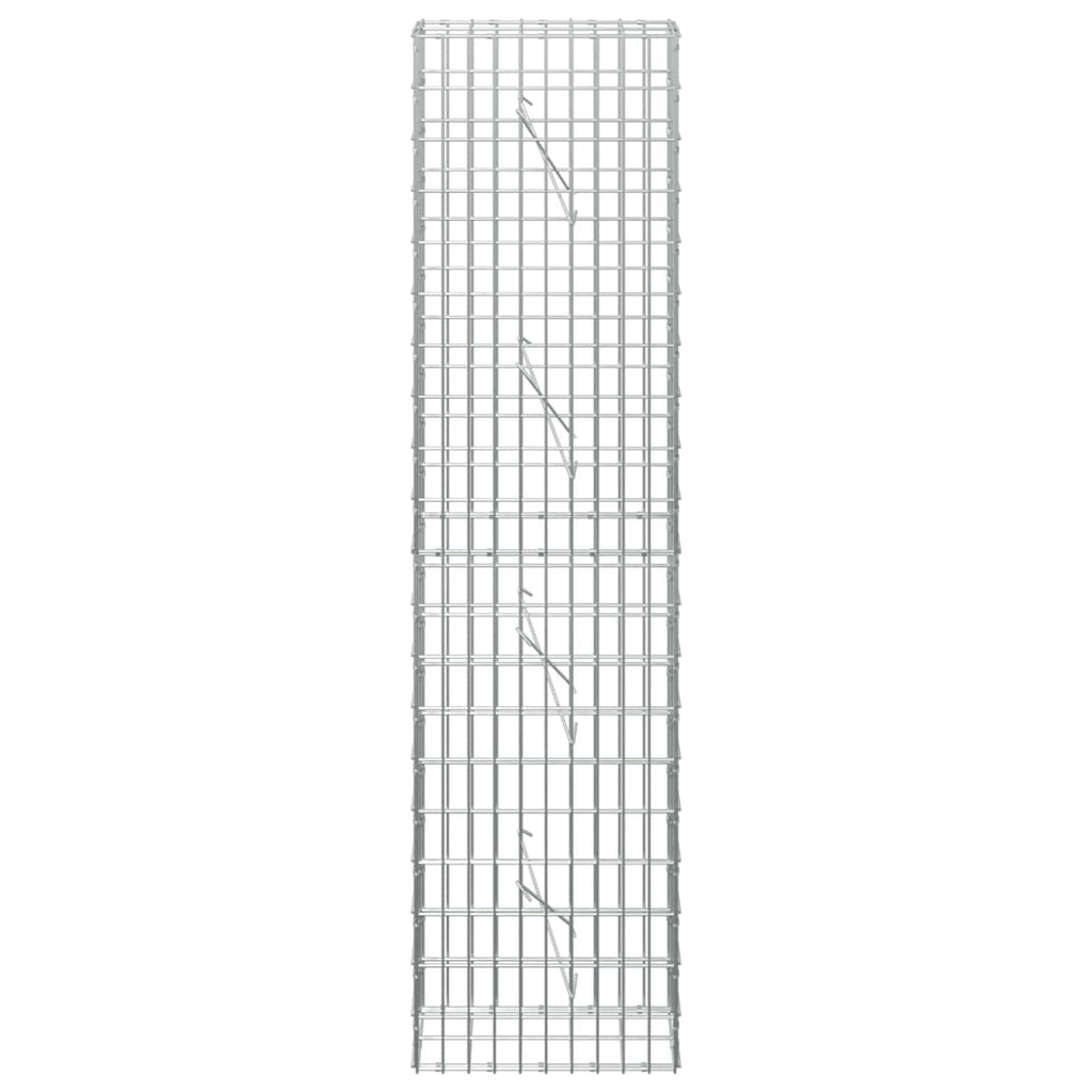 vidaXL Gabion z drutem 5 mm i siatką 5x10 cm 50x10x200 cm