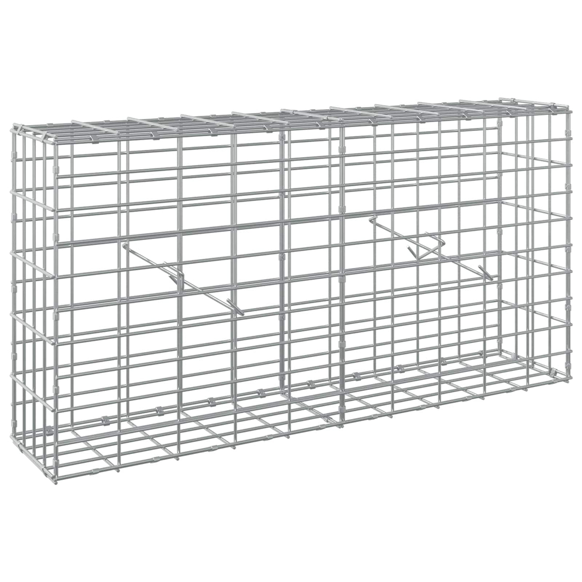vidaXL Gabion z drutem 5 mm i siatką 5x10 cm 100x20x50 cm