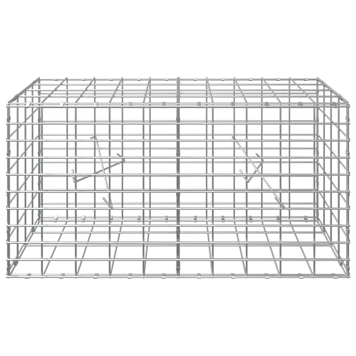 vidaXL Gabion z drutem 5 mm i siatką 5x10 cm 100x20x50 cm