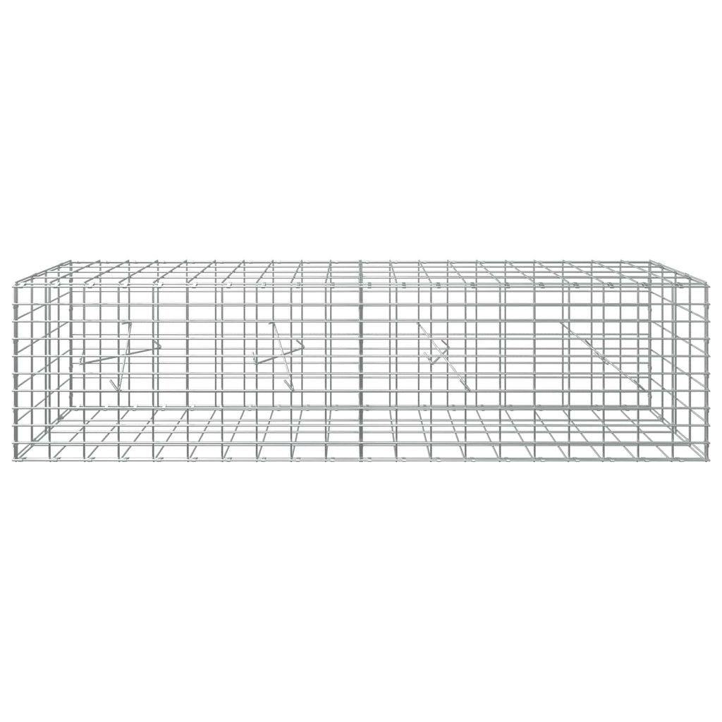 vidaXL Gabion z drutem 5 mm i siatką 5x10 cm 200x20x50 cm