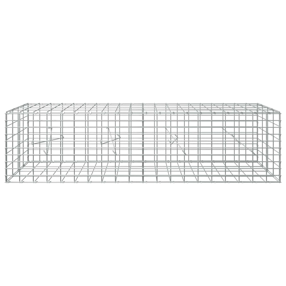 vidaXL Gabion z drutem 5 mm i siatką 5x10 cm 200x20x50 cm