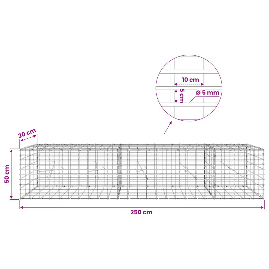 vidaXL Gabion z drutem 5 mm i siatką 5x10 cm 250x20x50 cm