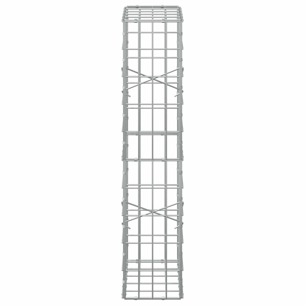 vidaXL Gabion z drutem 5 mm i siatką 5x10 cm 50x20x100 cm