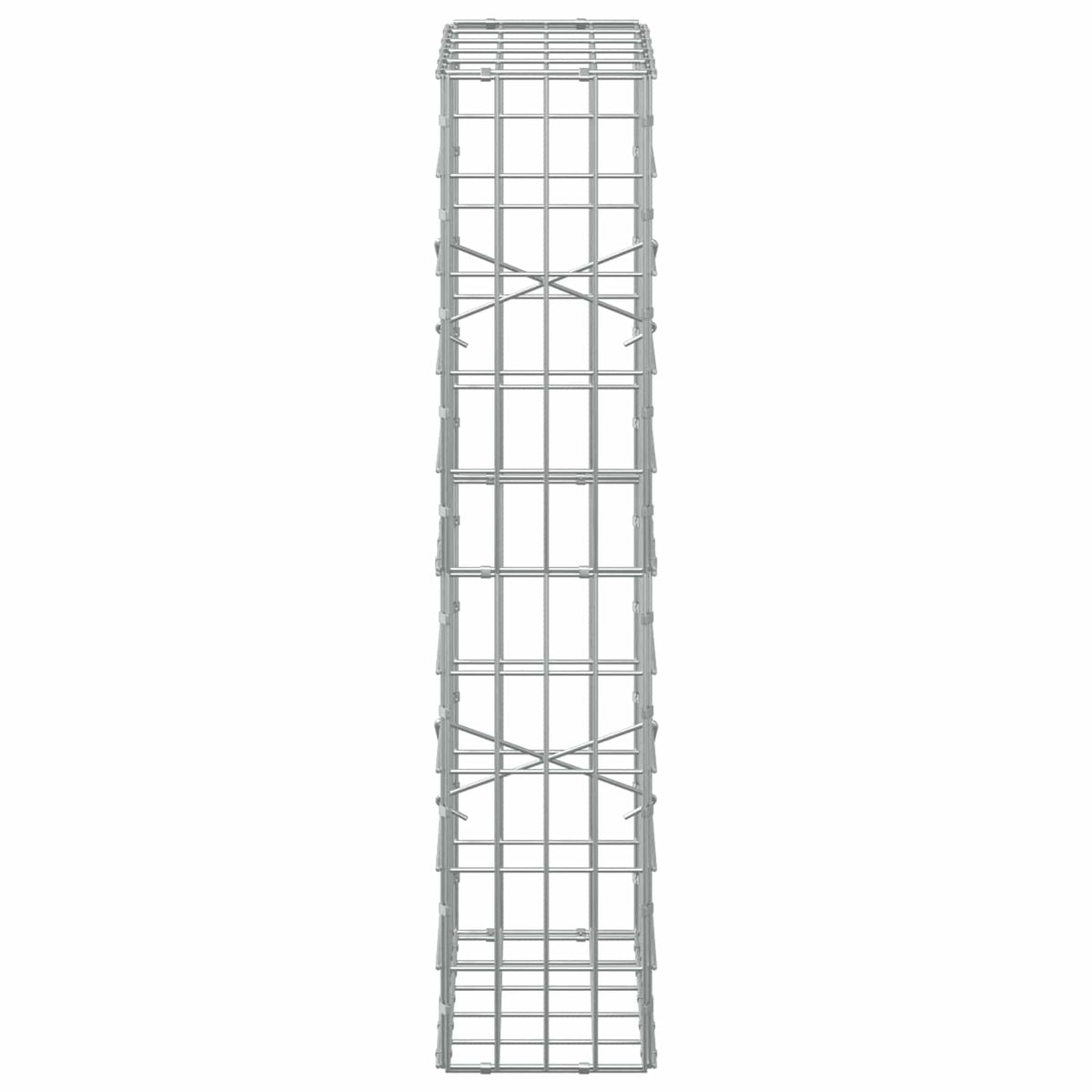 vidaXL Gabion z drutem 5 mm i siatką 5x10 cm 50x20x100 cm