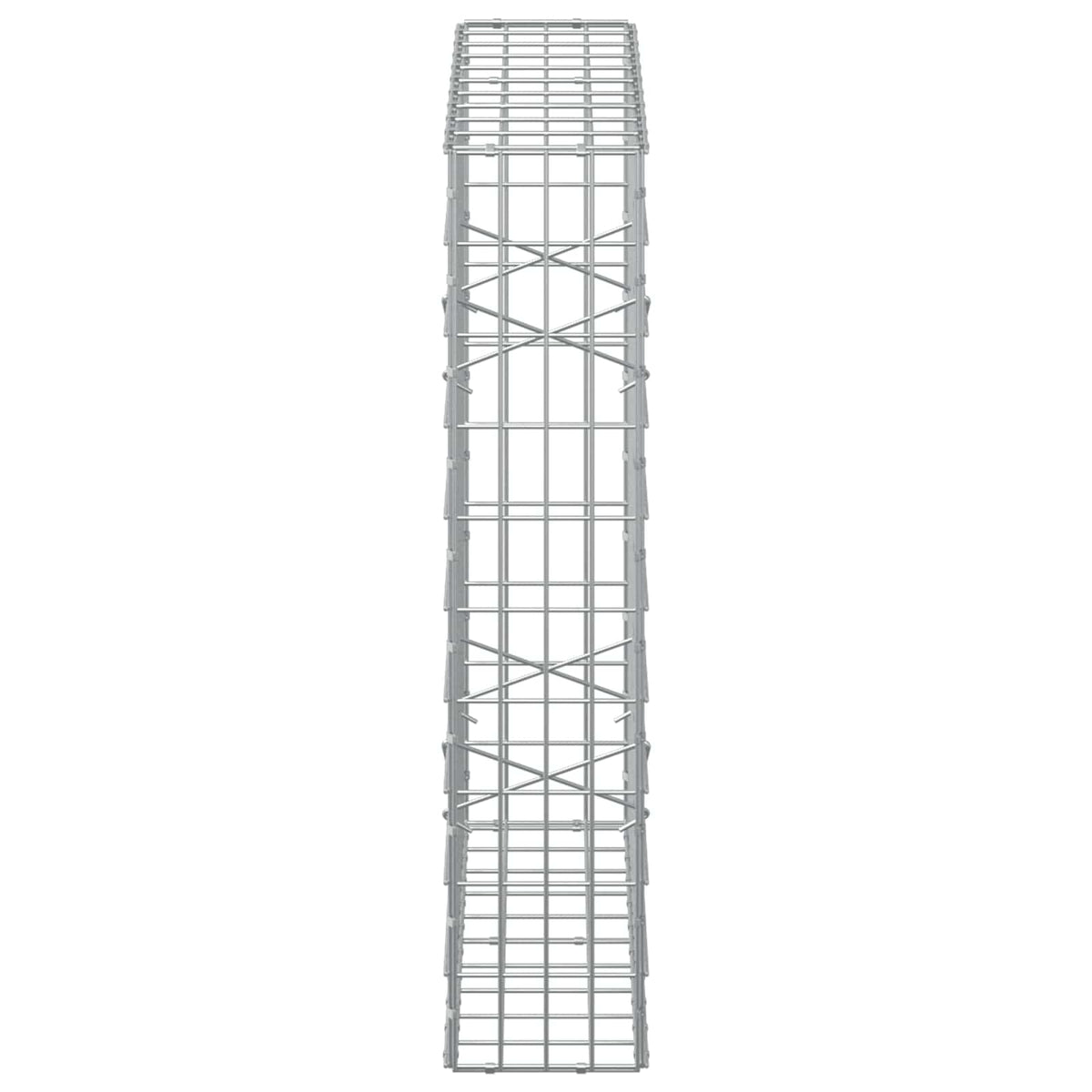 vidaXL Gabion z drutem 5 mm i siatką 5x10 cm 100x20x100 cm