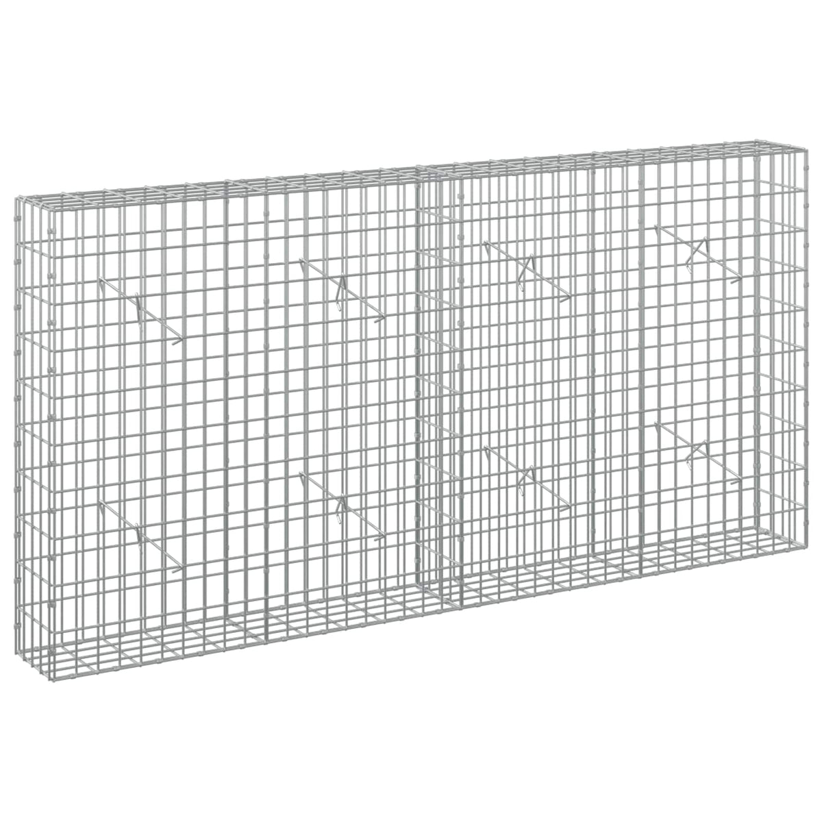 vidaXL Gabion z drutem 5 mm i siatką 5x10 cm 200x20x100 cm