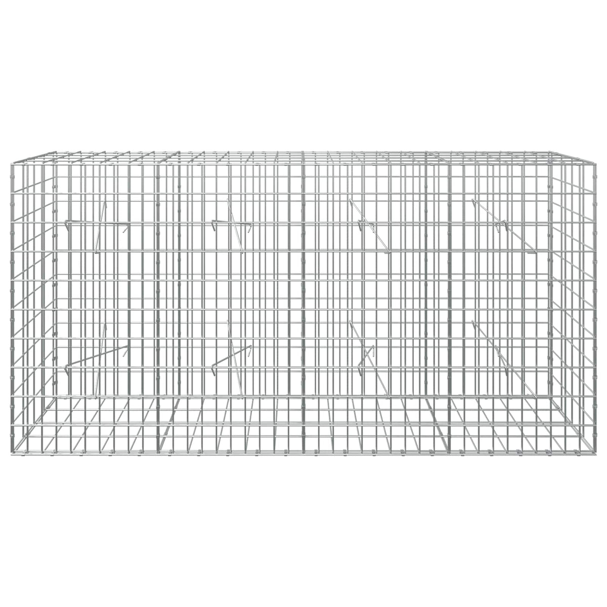 vidaXL Gabion z drutem 5 mm i siatką 5x10 cm 200x20x100 cm