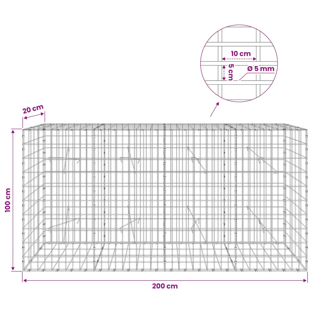 vidaXL Gabion z drutem 5 mm i siatką 5x10 cm 200x20x100 cm