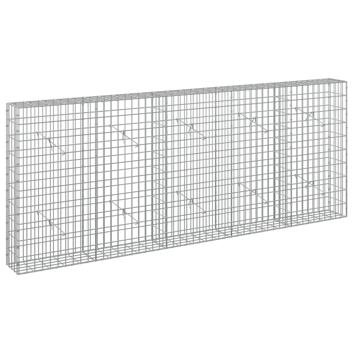 vidaXL Gabion z drutem 5 mm i siatką 5x10 cm 250x20x100 cm