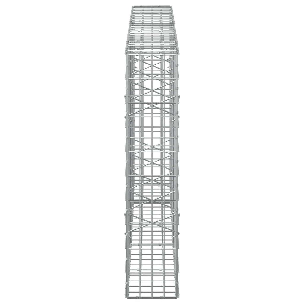 vidaXL Gabion z drutem 5 mm i siatką 5x10 cm 250x20x100 cm