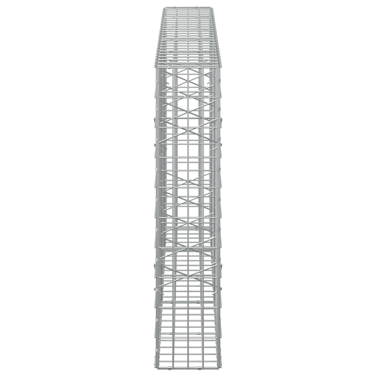 vidaXL Gabion z drutem 5 mm i siatką 5x10 cm 250x20x100 cm