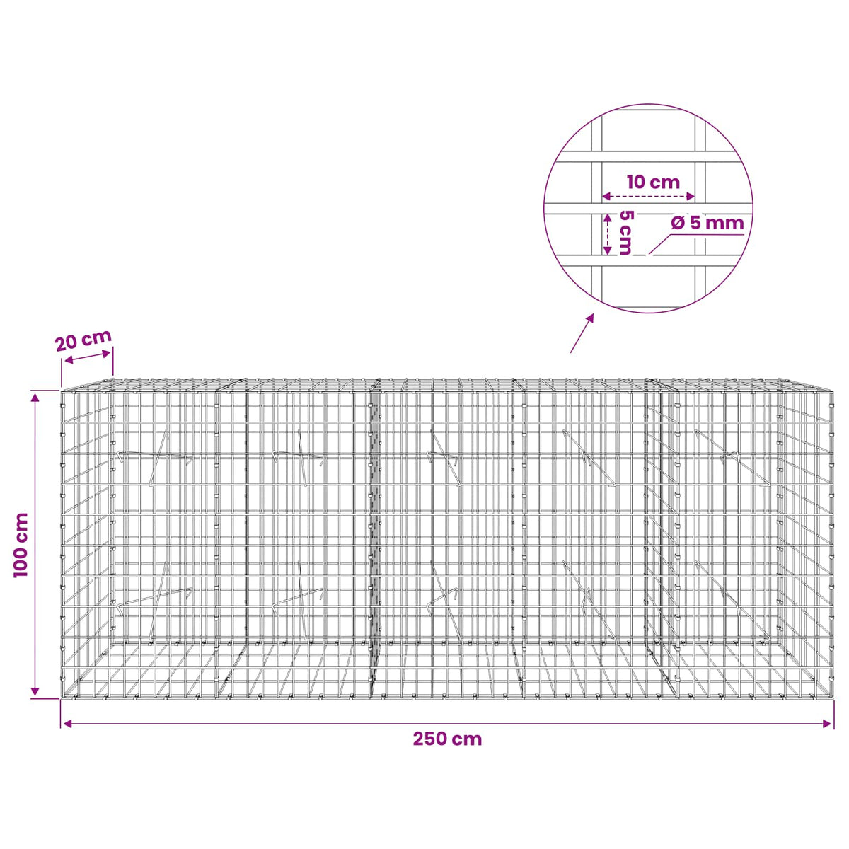 vidaXL Gabion z drutem 5 mm i siatką 5x10 cm 250x20x100 cm