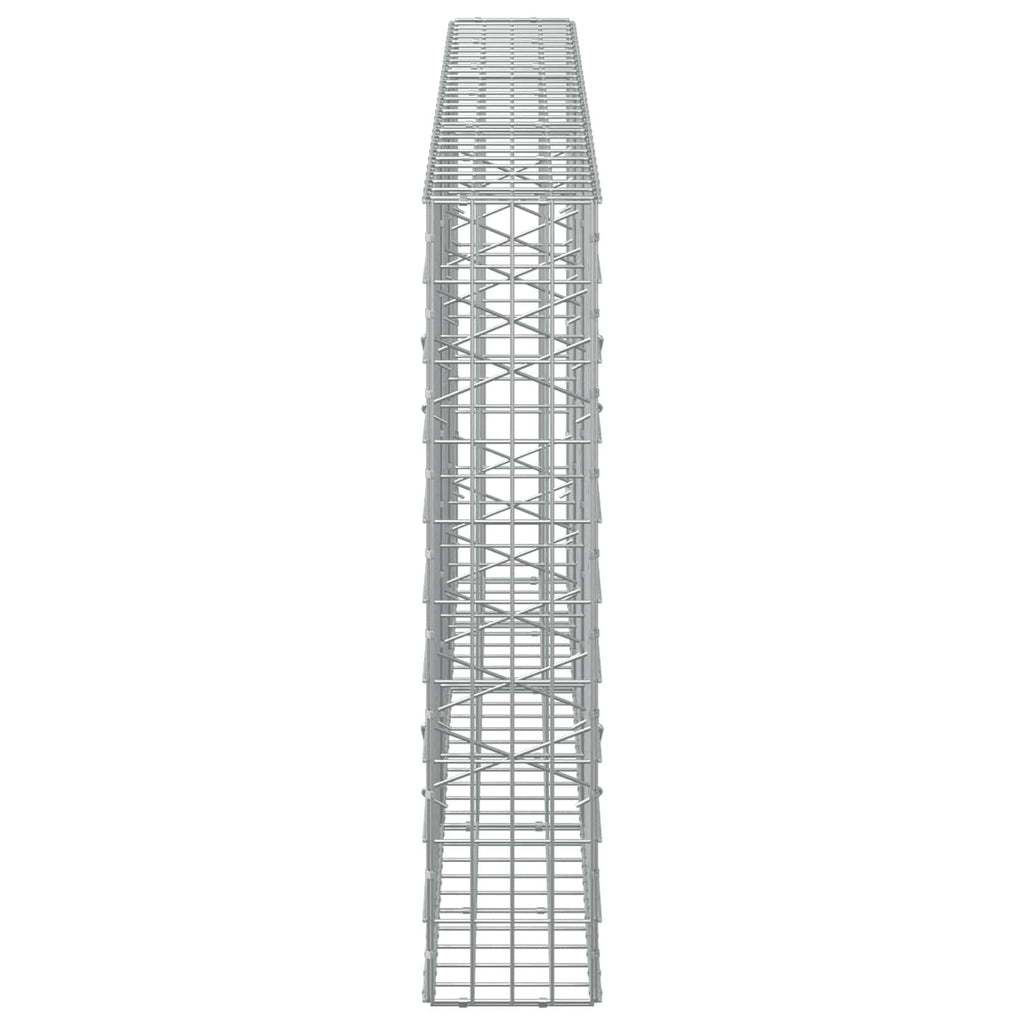 vidaXL Gabion z drutem 5 mm i siatką 5x10 cm 300x20x100 cm
