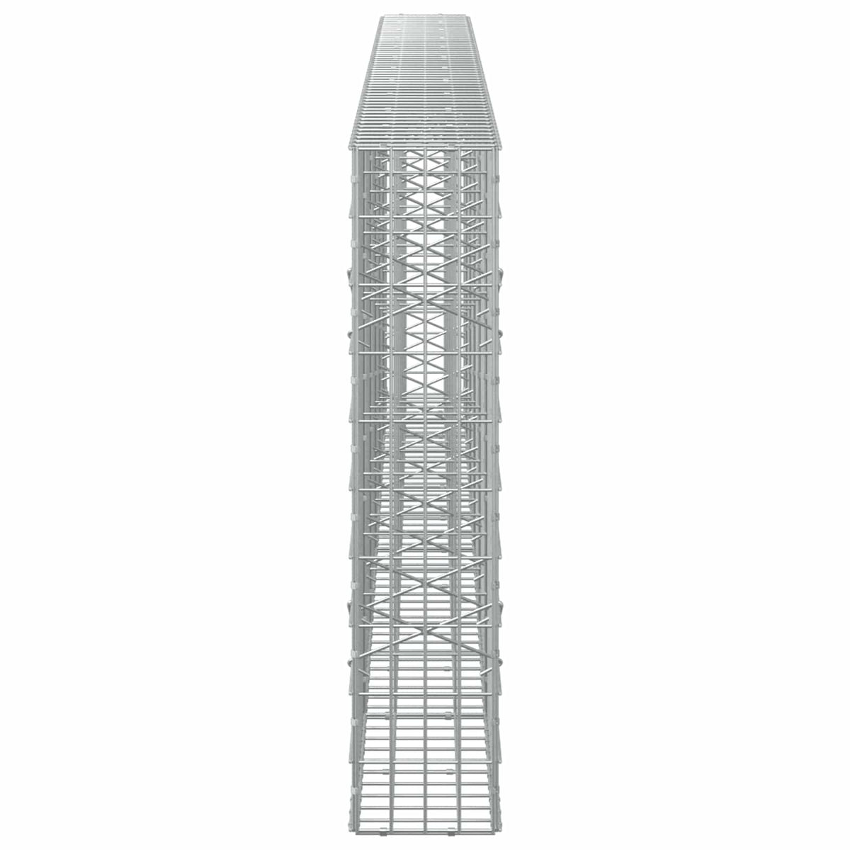 vidaXL Gabion z drutem 5 mm i siatką 5x10 cm 550x20x100 cm